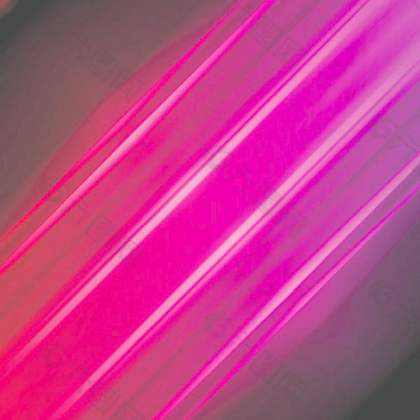 深圳舞动“四链”筑起生态高地